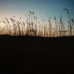 Proche De La Avec Jardin *