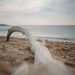 Proche De La Avec Jardin * Hyères